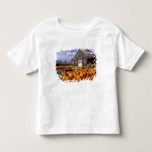 米国、ヴァーモント、Shelbourneのカボチャ トドラーTシャツ (正面)