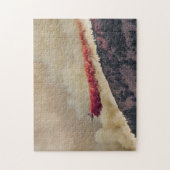 米国、北アメリカ、コロラド州の大きい石、Flagstaff ジグソーパズル (縦)