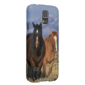 米国、馬のCodyのグループの近くのワイオミング、ハート Case-Mate Samsung Galaxyケース (裏面/右)