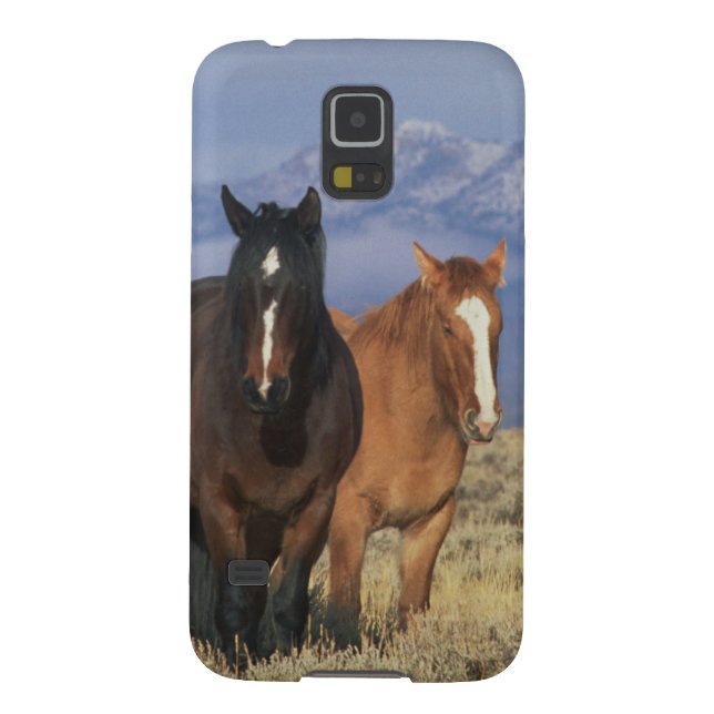米国、馬のCodyのグループの近くのワイオミング、ハート Case-Mate Samsung Galaxyケース (裏面)