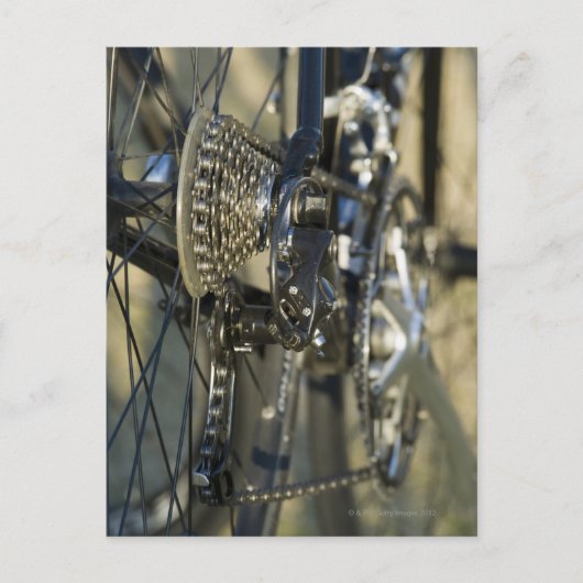 米国、AZ、フェニックス ポストカード (正面)