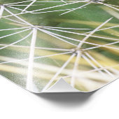 米国、AZ、フェニックス、砂漠の植物学2 フォトプリント (角)