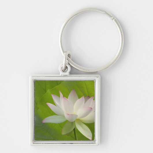 米国、DC、ワシントン、ケニルワース水中競技 キーホルダー (正面)