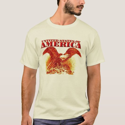 米国 Tシャツ (正面)