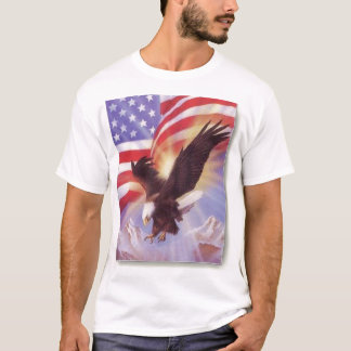米国 Tシャツ