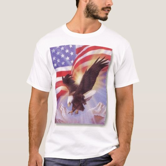 米国 Tシャツ (正面)