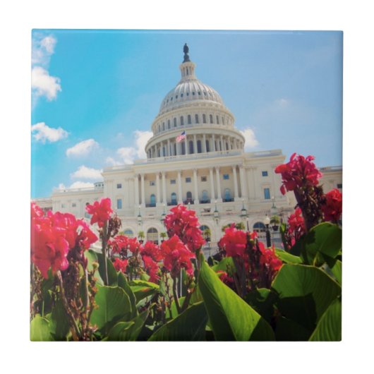 米国、Washington D.C.の国会議事堂の建物 タイル (正面)