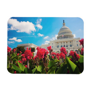 米国、Washington D.C.の国会議事堂の建物 マグネット
