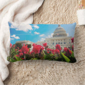 米国、Washington D.C.の国会議事堂の建物 ランバークッション (ブランケット)