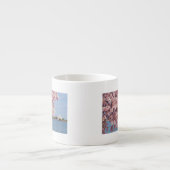 米国、Washington D.C.の桜 エスプレッソカップ (正面)