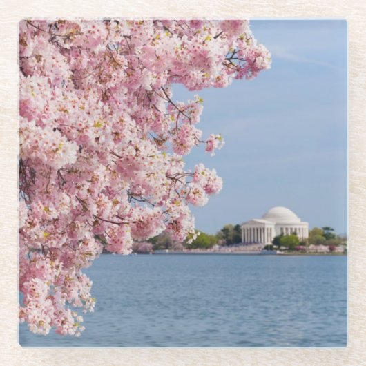 米国、Washington D.C.の桜 ガラスコースター (正面)