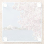 米国、Washington D.C.の桜 ガラスコースター (裏面)