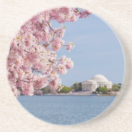 米国、Washington D.C.の桜 コースター (正面)