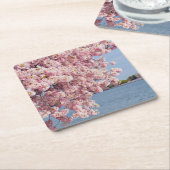 米国、Washington D.C.の桜 スクエアペーパーコースター (アングル)