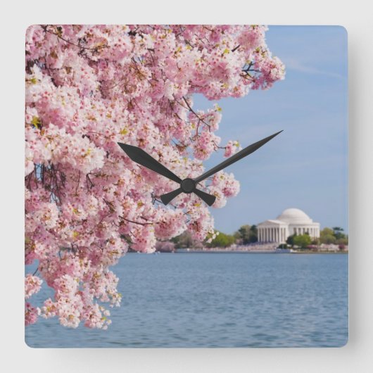米国、Washington D.C.の桜 スクエア壁時計 (正面)