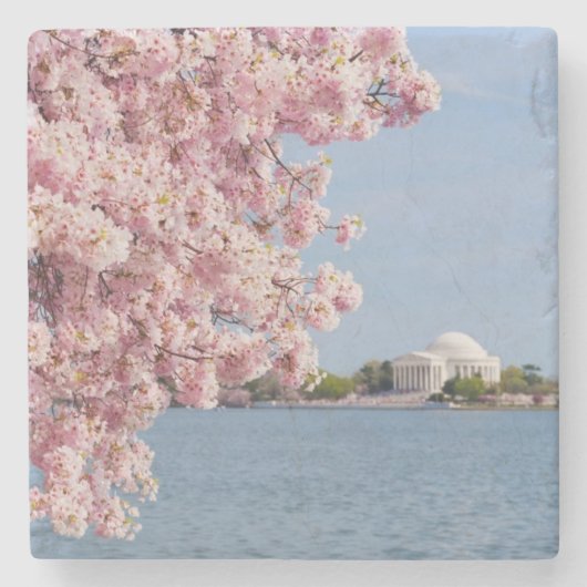 米国、Washington D.C.の桜 ストーンコースター (正面)