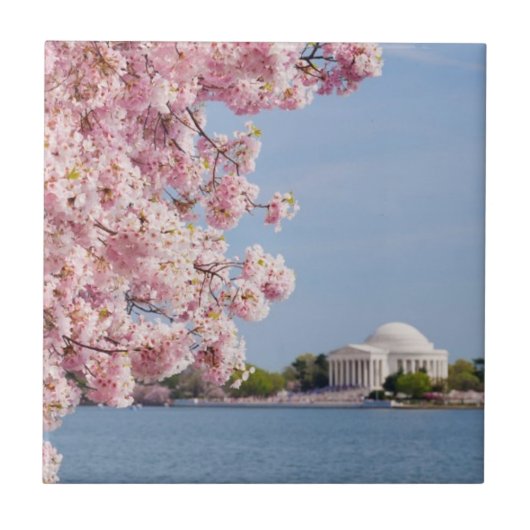 米国、Washington D.C.の桜 タイル (正面)