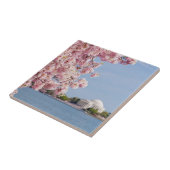 米国、Washington D.C.の桜 タイル (側面)