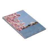 米国、Washington D.C.の桜 ノートブック (右側)
