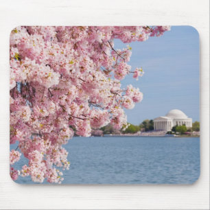 米国、Washington D.C.の桜 マウスパッド