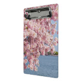 米国、Washington D.C.の桜 ミニクリップボード (アングル2)