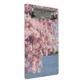 米国、Washington D.C.の桜 ミニクリップボード (アングル)