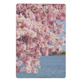 米国、Washington D.C.の桜 ミニクリップボード (裏面)