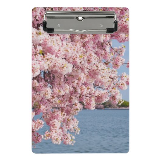 米国、Washington D.C.の桜 ミニクリップボード (正面)