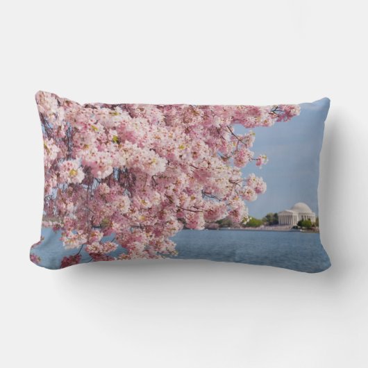 米国、Washington D.C.の桜 ランバークッション (正面)