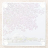 米国、Washington D.C.の開花の桜 ガラスコースター (裏面)