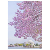 米国、Washington D.C.の開花の桜 クリップボード (裏面)