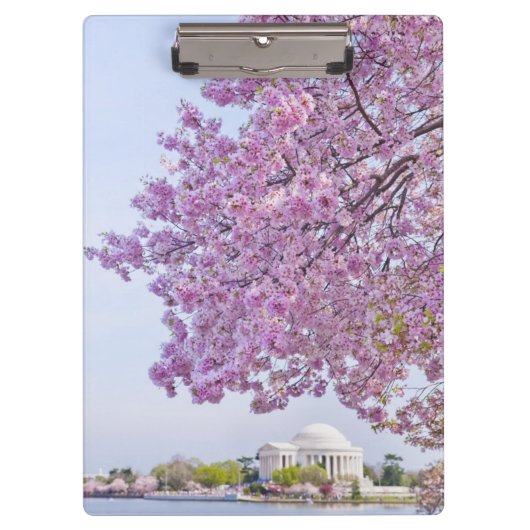 米国、Washington D.C.の開花の桜 クリップボード (正面)