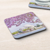 米国、Washington D.C.の開花の桜 コースター (左側)