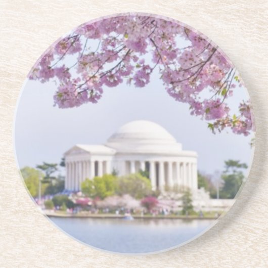 米国、Washington D.C.の開花の桜 コースター (正面)