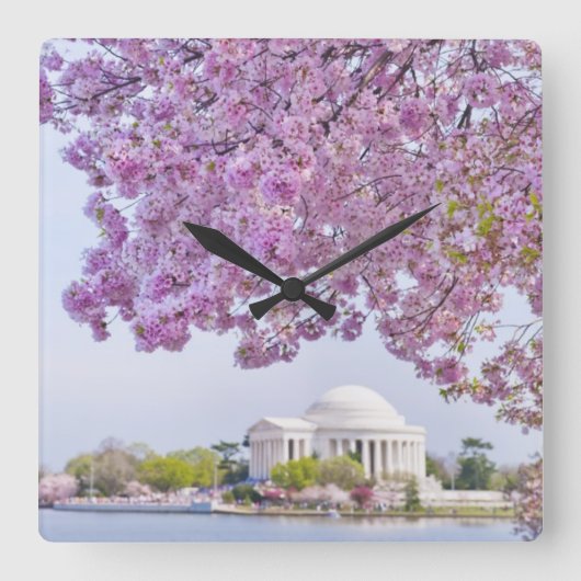 米国、Washington D.C.の開花の桜 スクエア壁時計 (正面)