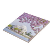 米国、Washington D.C.の開花の桜 タイル (側面)