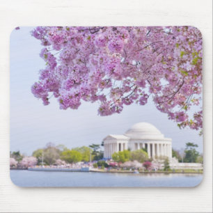 米国、Washington D.C.の開花の桜 マウスパッド