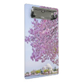 米国、Washington D.C.の開花の桜 ミニクリップボード (アングル)