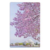 米国、Washington D.C.の開花の桜 ミニクリップボード (裏面)