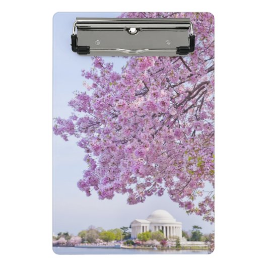 米国、Washington D.C.の開花の桜 ミニクリップボード (正面)