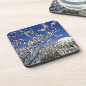 米国、Washington D.C。 桜のフェスティバルおよび2 コースター (左側)