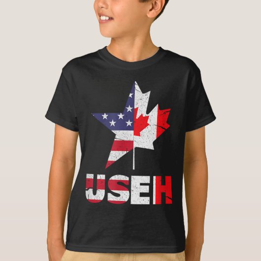 米国EHカナダおもしろい米国国旗 Tシャツ (正面)