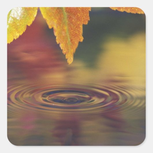 米国NA、太平洋北西部 スクエアシール (正面)