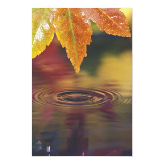 米国NA、太平洋北西部 フォトプリント            (正面)