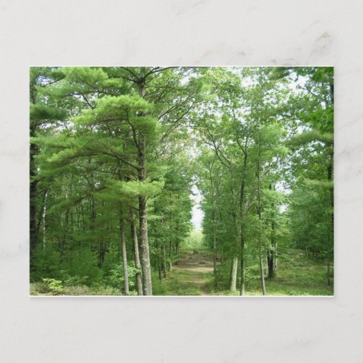 米国Stonehenge、Salem、VT ポストカード (正面)