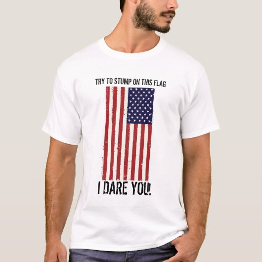 米国Tシャツ Tシャツ (正面)