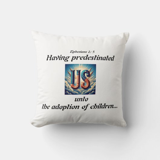 米国x7 クッション (正面)