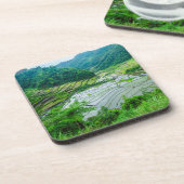 米段丘景観（フィリピン） コースター (左側)