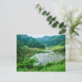 米段丘景観（フィリピン） ポストカード (スタンド正面)