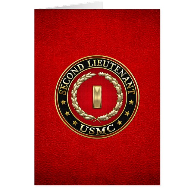 米海兵隊：中尉(USMC 2ndLt) [3D] (正面)